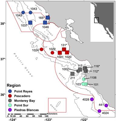 Marine Vertebrate Biodiversity and Distribution Within the Central California Current Using Environmental DNA (eDNA) Metabarcoding and Ecosystem Surveys